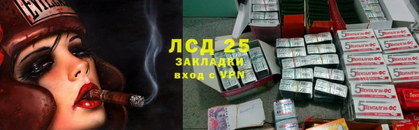 PSILOCYBIN Михайлов