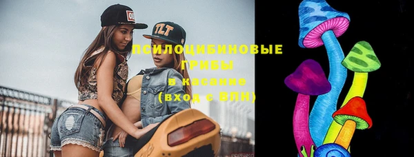 PSILOCYBIN Михайлов