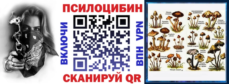 Псилоцибиновые грибы Psilocybe  хочу наркоту  Починок 